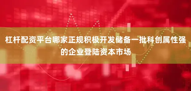 杠杆配资平台哪家正规积极开发储备一批科创属性强的企业登陆资本市场